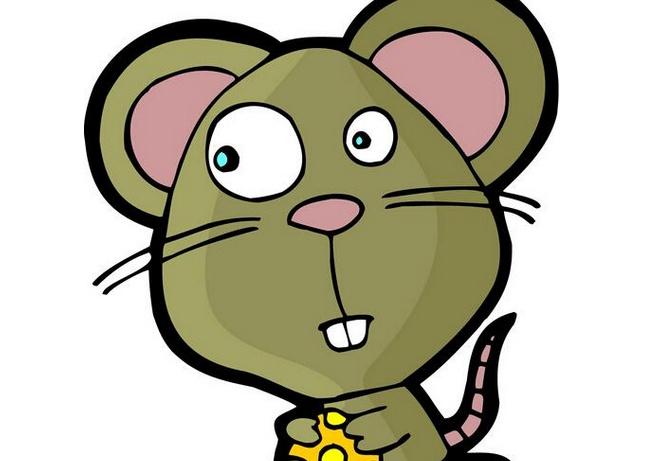 属鼠的忌讳什么属相：属老鼠和什么属相相配？