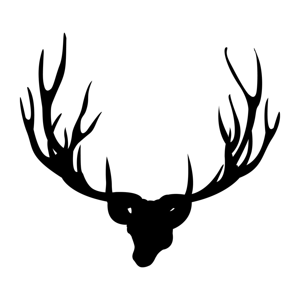 鹿的寓意和象征:梅花鹿象征意义是什么