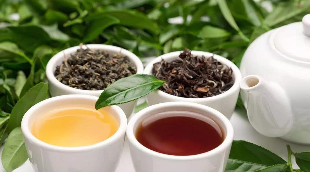 中国哪种茶的名字是最美？