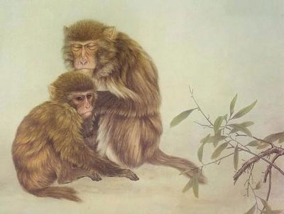 戌时出生的属猴人命运分析