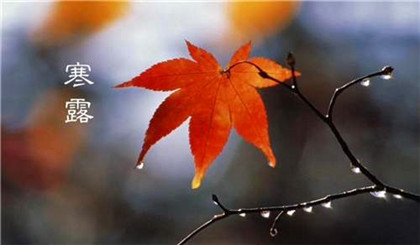 寒露习俗观红叶是什么?哪里最适合寒露节气看红叶?