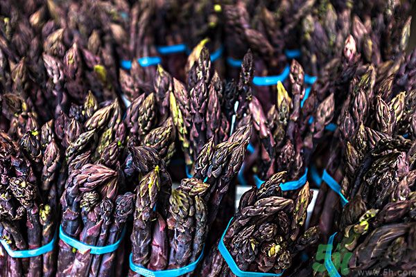 紫芦笋是转基因吗？紫芦笋和绿芦笋哪个好？