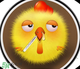 四月份还有禽流感吗？4月份是禽流感高发期吗？