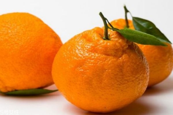 丑橘的生长环境是怎么样的呢 丑橘一般几月份上市呢