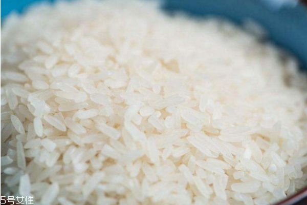 什么是粳米呢 粳米有什么作用呢