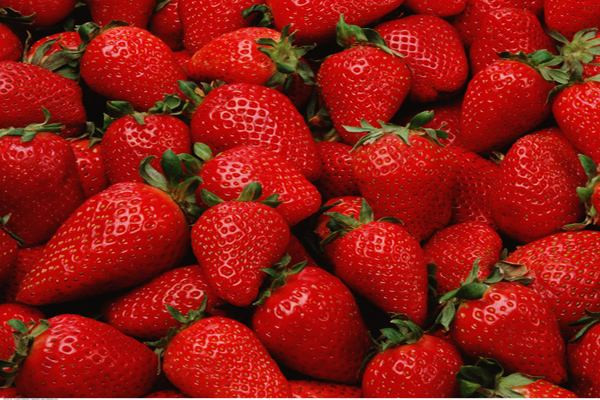 草莓中维c的含量有多少 草莓中含有哪些营养物质
