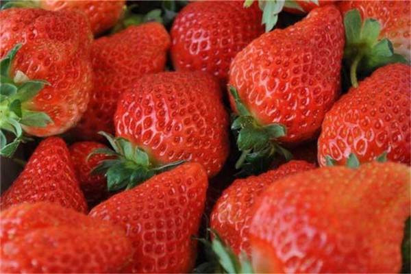 草莓中维c的含量有多少 草莓中含有哪些营养物质