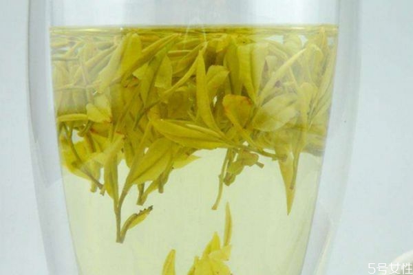 什么是黄茶呢 喝黄茶有什么作用呢