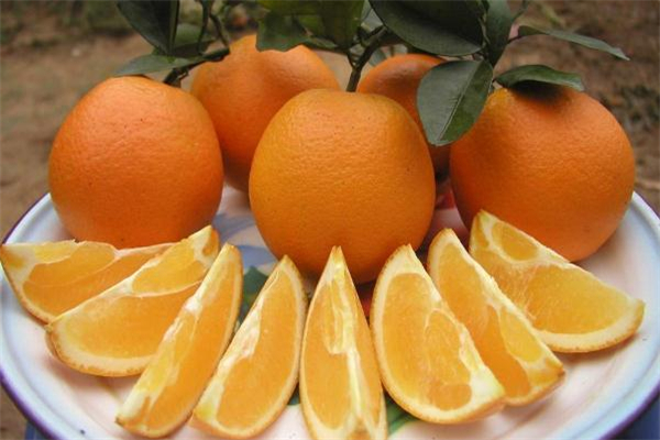 脐橙吃多了皮肤会黄吗 脐橙一天最多吃几个