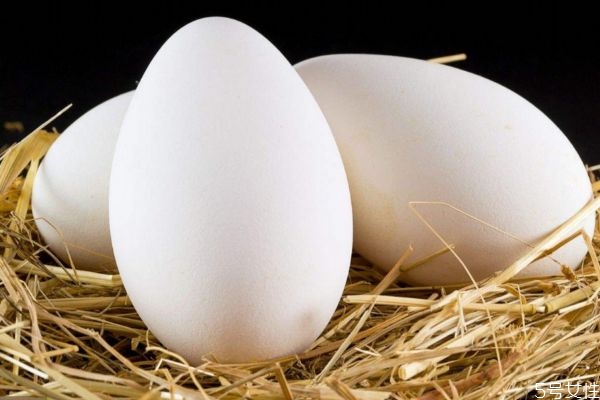 鹅蛋有什么营养价值呢 吃鹅蛋有什么好处呢
