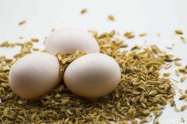 鸽子蛋有什么营养价值呢 吃鸽子蛋有什么好处呢