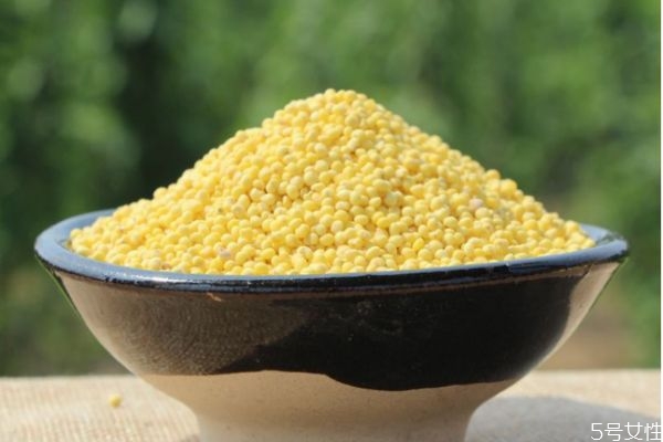 什么是黍米呢 黍米有什么营养价值呢