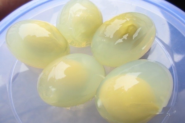 新鲜鸽子蛋怎么保存 鸽子蛋一天适合吃几个