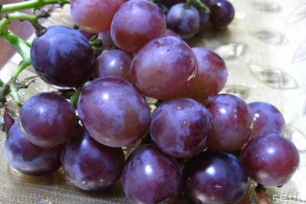 紫葡萄有什么营养价值呢 吃紫葡萄有什么好处呢