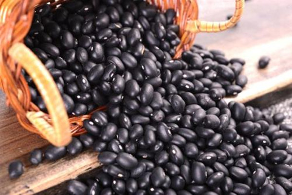 黑豆怎么保存不易有虫 吃黑豆要注意什么