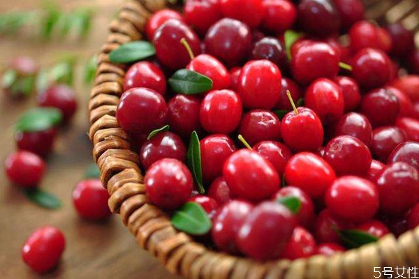 月经期可以吃蔓越莓吗 月经期怎么吃蔓越莓好