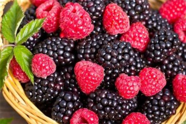 树莓常温下怎么保存 树莓可以放冰箱里冷冻吗