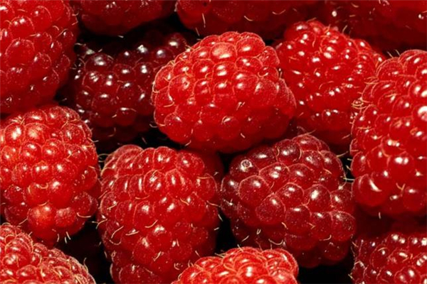 树莓常温下怎么保存 树莓可以放冰箱里冷冻吗