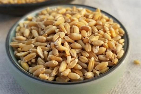 浮小麦是什么 浮小麦和小麦的区别