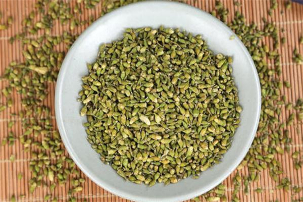 槐米茶的功效与作用 槐米茶能天天喝吗