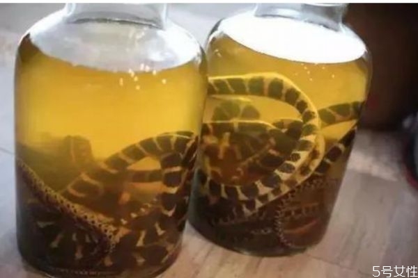 蛇酒有什么功效 蛇酒的作用有什么
