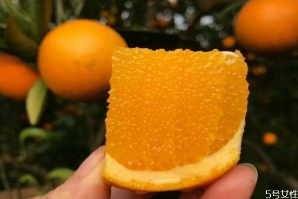 冰糖橙的食用价值 冰糖橙食用方法介绍