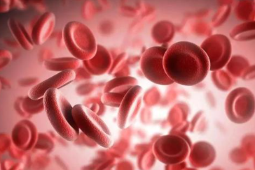 ab型血为什么叫贵族血？ab型血性格特点分析