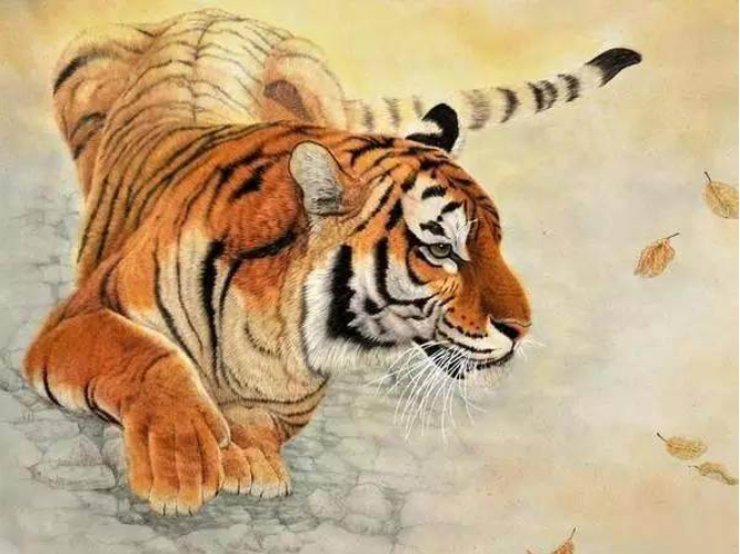 虎和虎的属相适合做夫妻吗 虎和虎比劫是什么意思