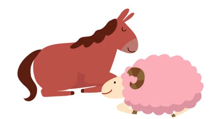 羊和马的属相适合做夫妻吗 羊和马生什么宝宝好